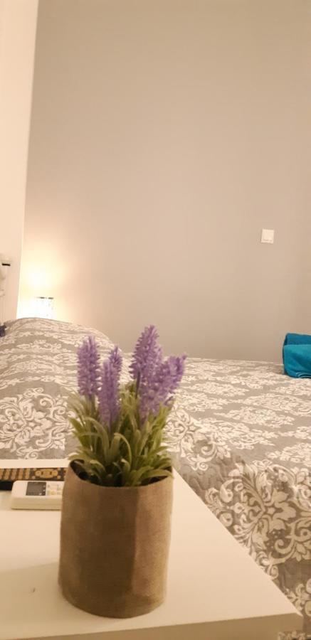 Luxury Apartment Near Metro By Hospitality Gr เอเธนส์ ภายนอก รูปภาพ